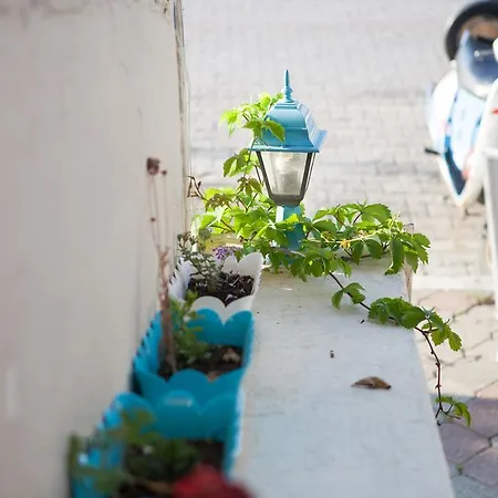 Fethiye Guesthouse * Fethiye